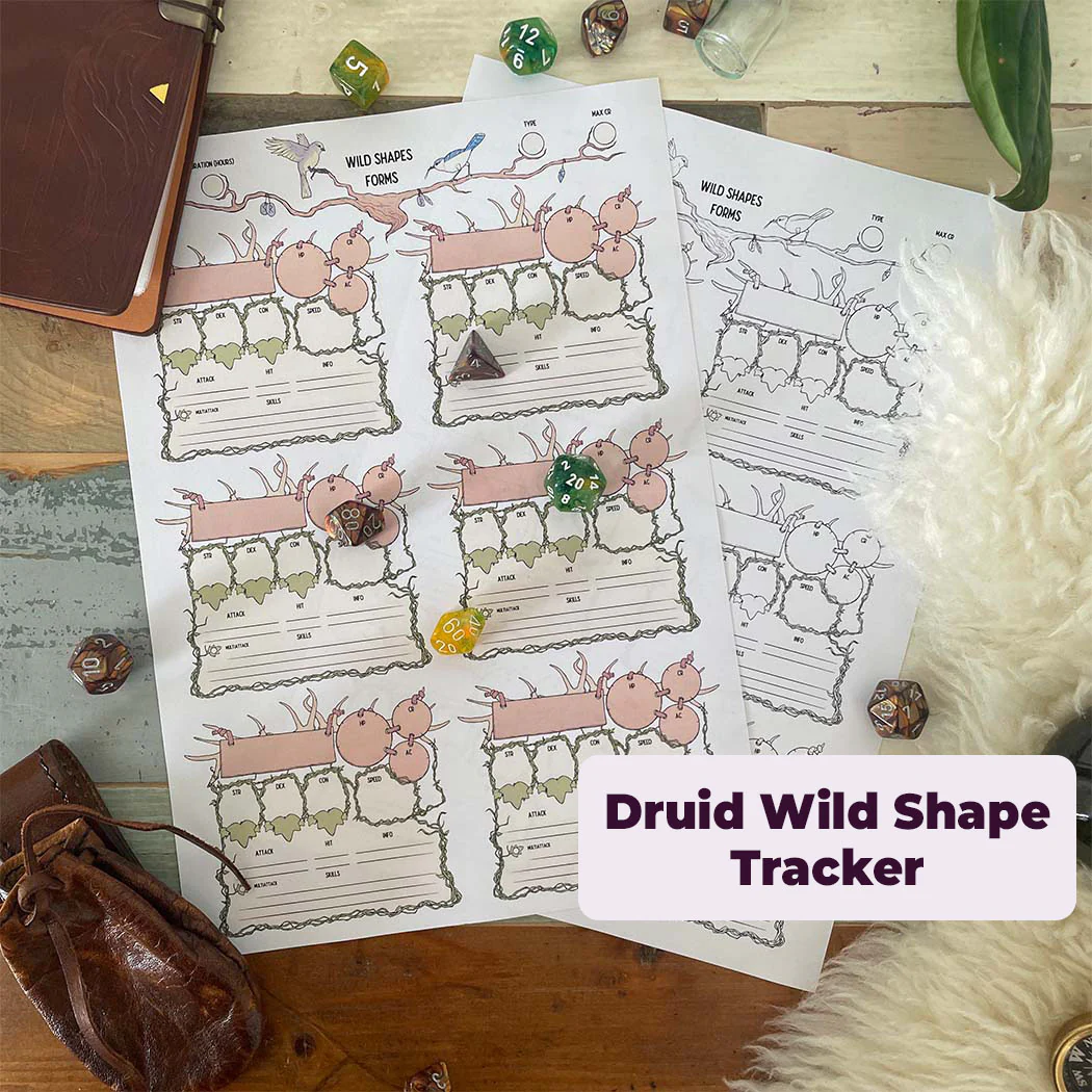 Adventurer's Starter Kit - D&D 5th Edition - Image 4